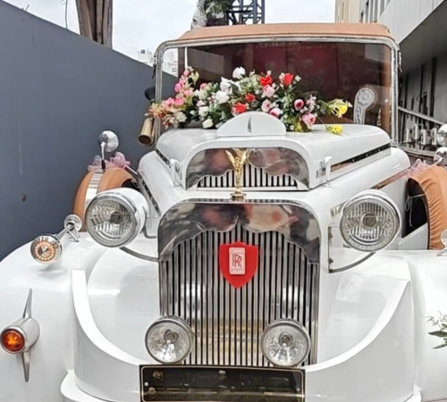 Ganpati Festival Image 5